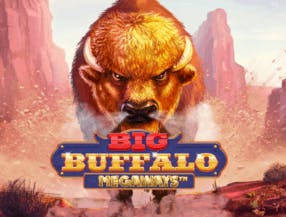 game logo by Skywind Group on hollywincasino.ch