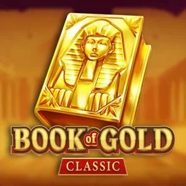 game logo by Playson on hollywincasino.ch