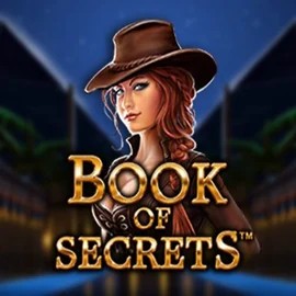 Play Book of Secrets slot by SYNOT Games on hollywincasino.ch