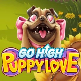 game logo by RubyPlay on hollywincasino.ch