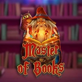 Try Master of Books slot by Swintt on hollywincasino.ch – logo image