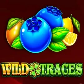Wild Traces – slot by Amusnet Interactive, featured at hollywincasino.ch